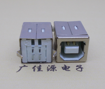 高埗镇BF母座 180度立插 弯脚 带赛接口