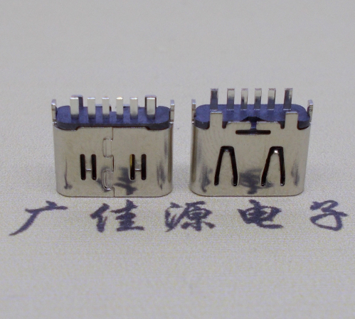 高埗镇Type-C6P母座立插H=6.25连接器