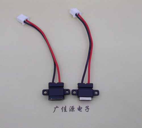 高埗镇简易type c2p防水母座注塑成型带双螺丝孔焊线式带线带接线端子单充电功能
